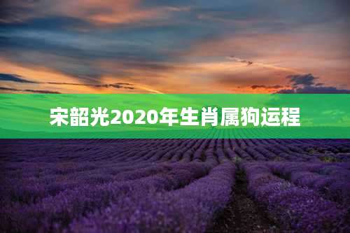 宋韶光2020年生肖属狗运程