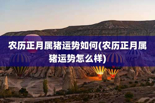 农历正月属猪运势如何(农历正月属猪运势怎么样)
