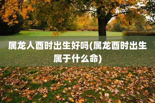 属龙人酉时出生好吗(属龙酉时出生属于什么命)