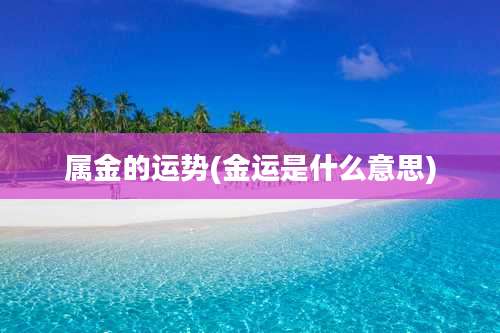 属金的运势(金运是什么意思)
