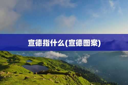 宣德指什么(宣德图案)