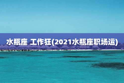 水瓶座 工作狂(2021水瓶座职场运)