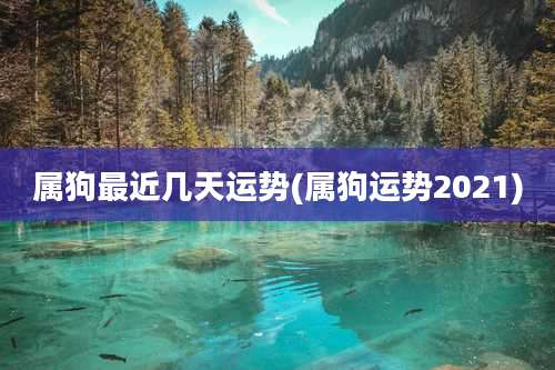 属狗最近几天运势(属狗运势2021)