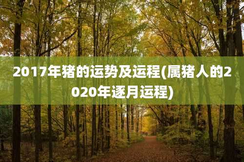 2017年猪的运势及运程(属猪人的2020年逐月运程)