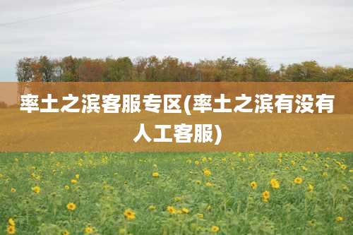 率土之滨客服专区(率土之滨有没有人工客服)