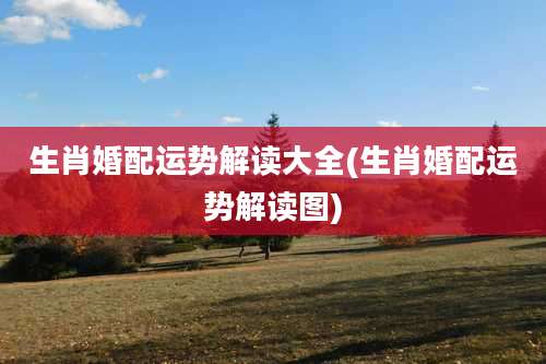 生肖婚配运势解读大全(生肖婚配运势解读图)