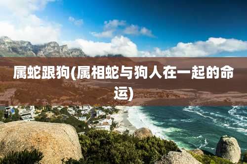 属蛇跟狗(属相蛇与狗人在一起的命运)