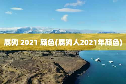 属狗 2021 颜色(属狗人2021年颜色)