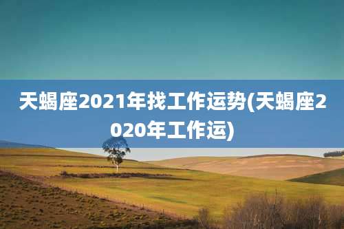 天蝎座2021年找工作运势(天蝎座2020年工作运)