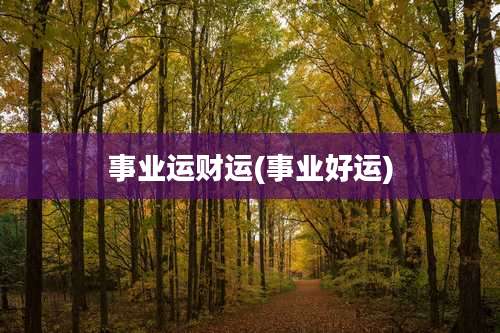 事业运财运(事业好运)