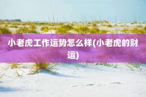 小老虎工作运势怎么样(小老虎的财运)