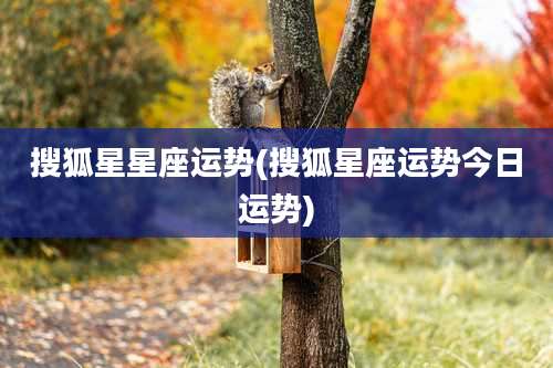 搜狐星星座运势(搜狐星座运势今日运势)