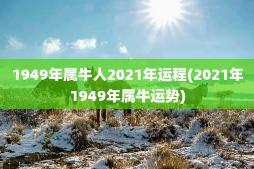 1949年属牛人2021年运程(2021年1949年属牛运势)