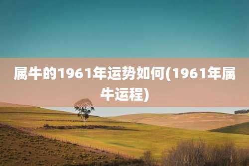 属牛的1961年运势如何(1961年属牛运程)