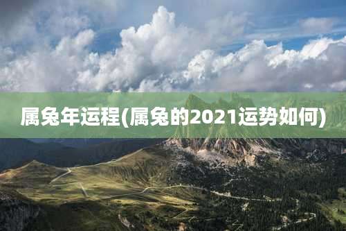 属兔年运程(属兔的2021运势如何)