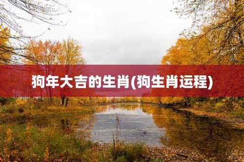 狗年大吉的生肖(狗生肖运程)