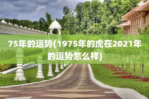 75年的运势(1975年的虎在2021年的运势怎么样)