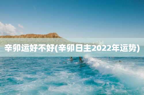 辛卯运好不好(辛卯日主2022年运势)