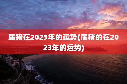 属猪在2023年的运势(属猪的在2023年的运势)