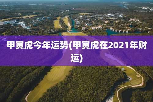 甲寅虎今年运势(甲寅虎在2021年财运)