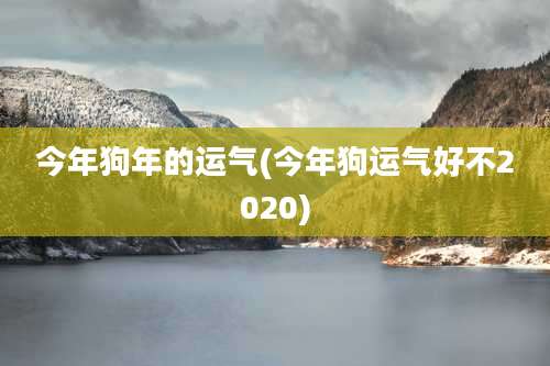 今年狗年的运气(今年狗运气好不2020)