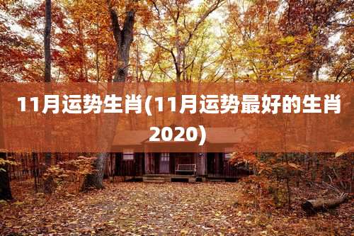 11月运势生肖(11月运势最好的生肖2020)
