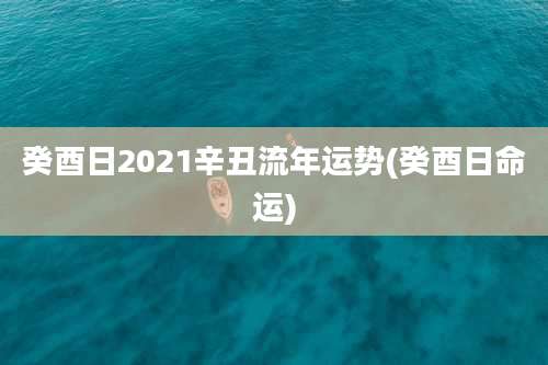 癸酉日2021辛丑流年运势(癸酉日命运)