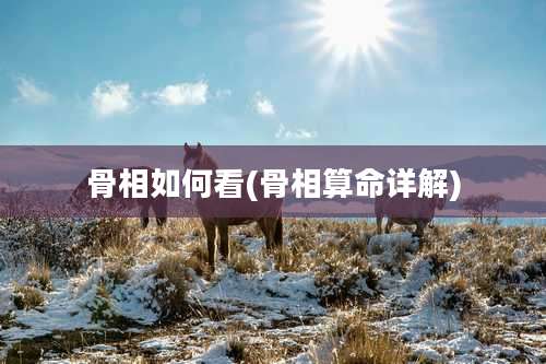 骨相如何看(骨相算命详解)