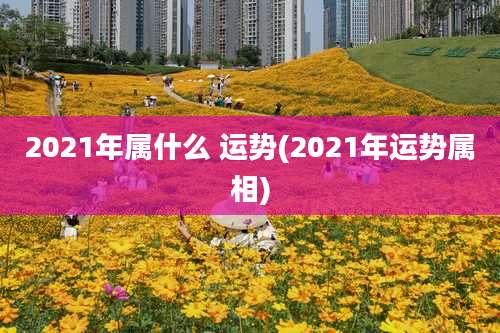 2021年属什么 运势(2021年运势属相)