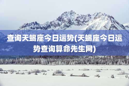 查询天蝎座今日运势(天蝎座今日运势查询算命先生网)