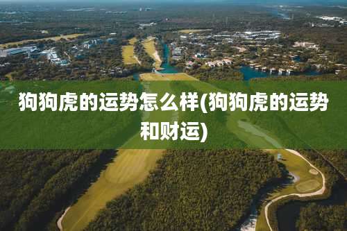 狗狗虎的运势怎么样(狗狗虎的运势和财运)