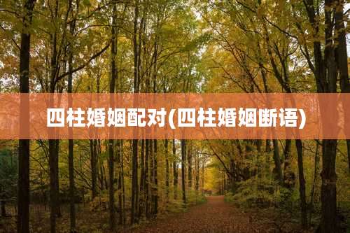 四柱婚姻配对(四柱婚姻断语)