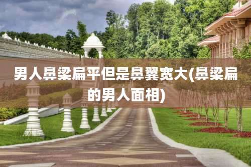 男人鼻梁扁平但是鼻翼宽大(鼻梁扁的男人面相)