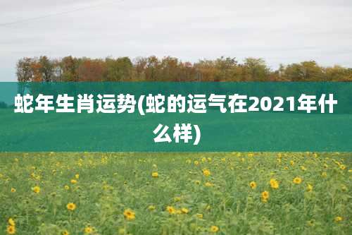 蛇年生肖运势(蛇的运气在2021年什么样)