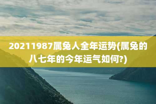 20211987属兔人全年运势(属兔的八七年的今年运气如何?)