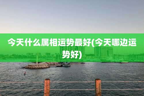 今天什么属相运势最好(今天哪边运势好)