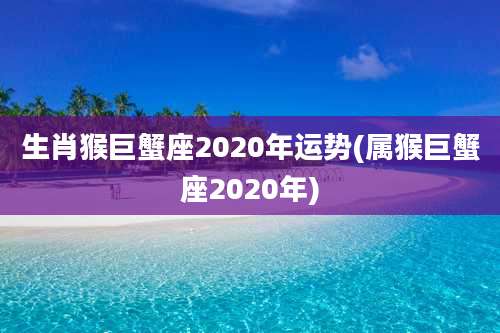 生肖猴巨蟹座2020年运势(属猴巨蟹座2020年)