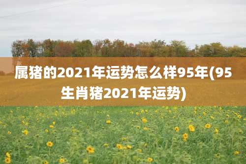 属猪的2021年运势怎么样95年(95生肖猪2021年运势)