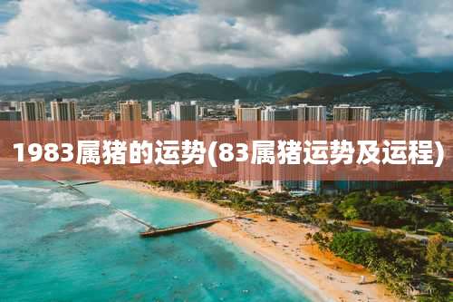 1983属猪的运势(83属猪运势及运程)