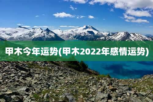 甲木今年运势(甲木2022年感情运势)