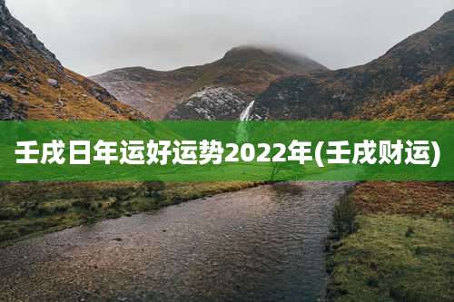 壬戌日年运好运势2022年(壬戌财运)
