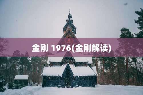 金刚 1976(金刚解读)