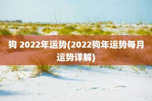 狗 2022年运势(2022狗年运势每月运势详解)
