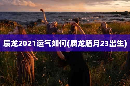 辰龙2021运气如何(属龙腊月23出生)