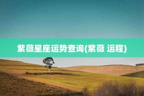 紫薇星座运势查询(紫薇 运程)