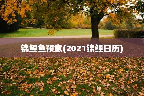 锦鲤鱼预意(2021锦鲤日历)