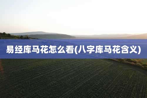 易经库马花怎么看(八字库马花含义)