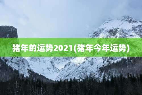 猪年的运势2021(猪年今年运势)