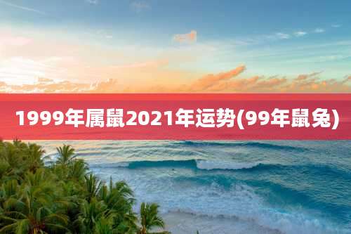 1999年属鼠2021年运势(99年鼠兔)