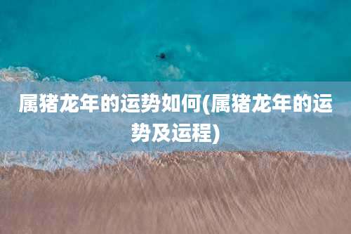 属猪龙年的运势如何(属猪龙年的运势及运程)